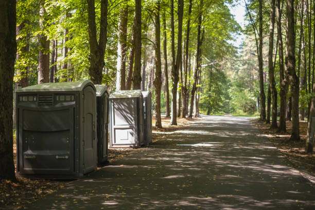 Portable Toilet Options We Offer in Gold Canyon, AZ